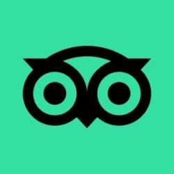 TripAdvisor square logo